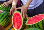 国产免费吃瓜,揭秘热门话题背后的娱乐江湖